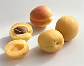 Apricots (Prunus armeniaca), variety ‘Comedie’ from France
