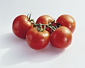Tomatoes (Lycopersicon esculentum), variety 'Tradiro' 
