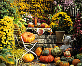 Autumn still life with pumpkins and chrysanthemums
