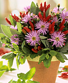 Arrangement of ornamental peppers, asters, peppermint & sage