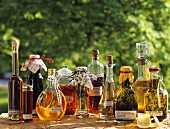Various bottles of herb oil, herb vinegar and herb schnapps