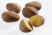 Several early potatoes, variety 'Leyla'