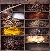 Ingredients for hot Madras curry powder in type case