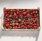 Strawberries in punnets
