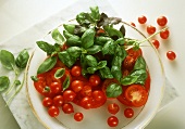 Cherry Tomatoes and Basil on a Plate