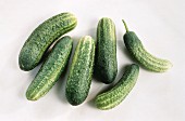 Several Whole Cucumbers