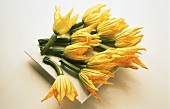 Several Zucchini Blossoms