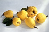 Several Whole Quince