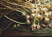 Several Garlic Bulbs with Garlic Chives