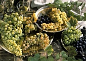 Still Life of Many Assorted Grapes