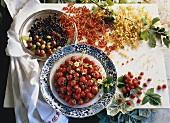 Assorted Berries in Bowls and on a Table