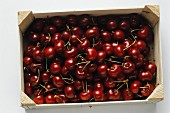 Red Cherries in a Wooden Box