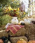 Festive Decorations for an Autumn Buffet