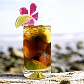 Cuba Libre (Rum-Drink mit Cola) auf Baumstamm mit Krabbe