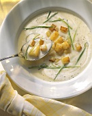 Kartoffel-Lauch-Suppe mit Kartoffelwürfeln & Kerbelblättern