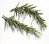 Two Rosemary Branches