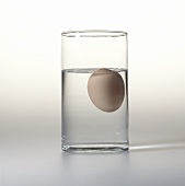 An Egg Floating in a Glass of Water