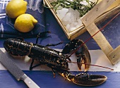 Fresh Lobster with Lemon