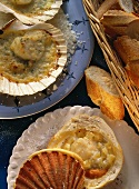 Baked scallops and scallop ragout in pastry