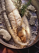 Pike-perch in sea salt crust with thyme & rosemary sprigs