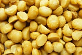 Several Shelled Macadamia Nuts