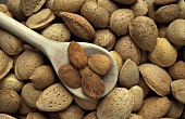 Several Almonds
