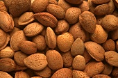 Several Fresh Almonds