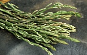 Many spears of wild green asparagus
