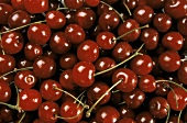 Many Red Cherries