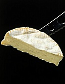 A Piece of Camembert Cheese on a Knife