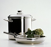 Stock Pot and Frying Pan