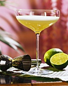Daiquiri Natural (Drink mit Rum, Rohrzucker & Limettensaft)