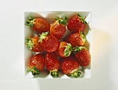 Many Strawberries in a White Dish
