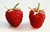Closeup of Two Raspberries