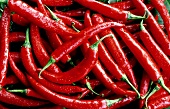Lots of red chili peppers with drops of water (Thai red)