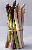 White and green asparagus, in a bundle