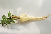 A Parsnip