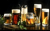 Light and dark beer in various beer glasses