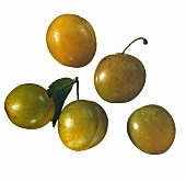 Five Yellow Plums
