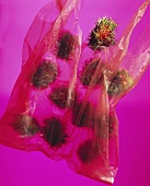 A Plastic Bag full of Rambutan