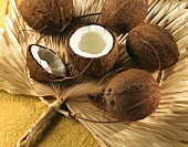 Whole coconuts and one cut open on fan