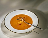 A Bowl of Bell Pepper Soup