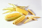 Three large corncobs, some with leaves & immature cobs