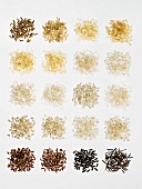 Many different types of rice laid out in small squares