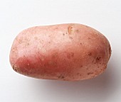 A potato, Desiree variety