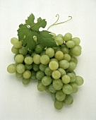 Green grapes with vine leaf