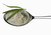 Mustard sauce with sprig of tarragon on spoon