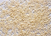 Grains of rice (risotto rice)