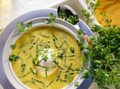 Chard cream soup with poached egg and chervil