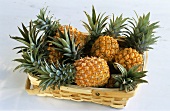 Several pineapples in a basket